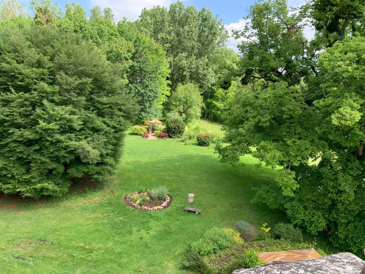 Gergy Domaine De L'Oiseau B&B 외부 사진